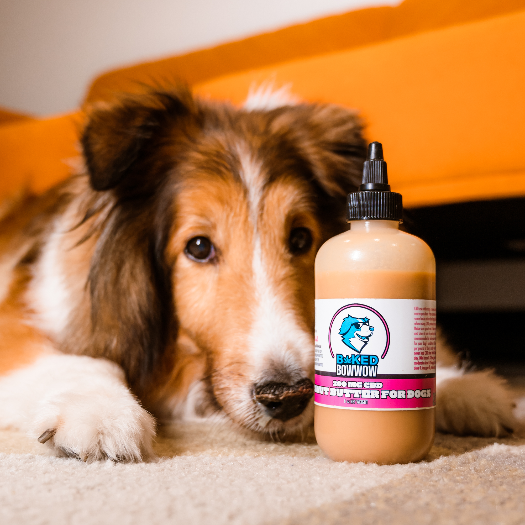 Eighty Six Baked BowWow – Peanut Butter Squeeze Bottle – CBD Dog Treats Best Price
