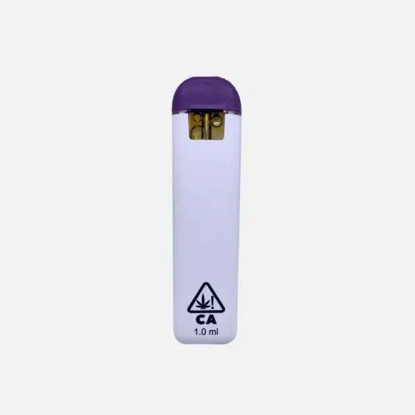 Dank Lite | Delta 11 THC Disposables - 1g Best Price