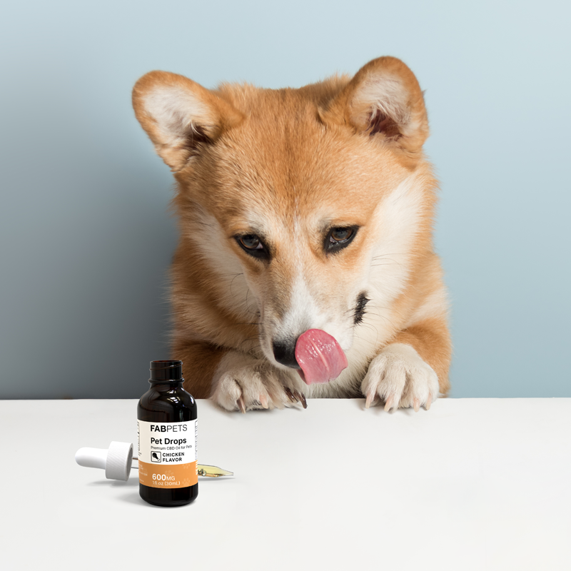 FAB CBD CBD Oil for Pets Bacon Flavor Best Price