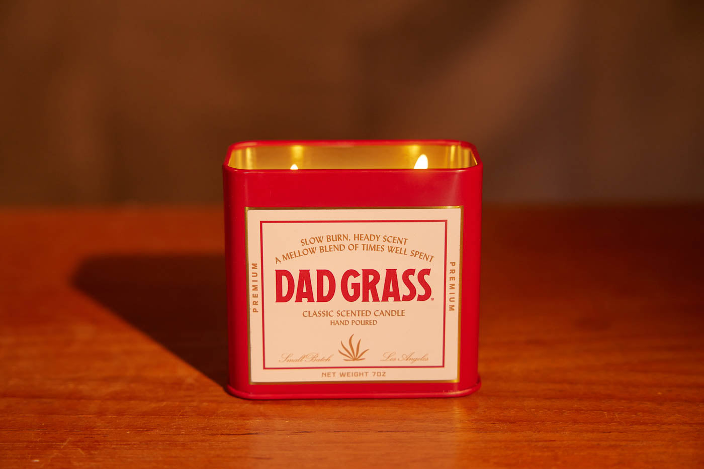 Dad Grass Scented Candle Best Price
