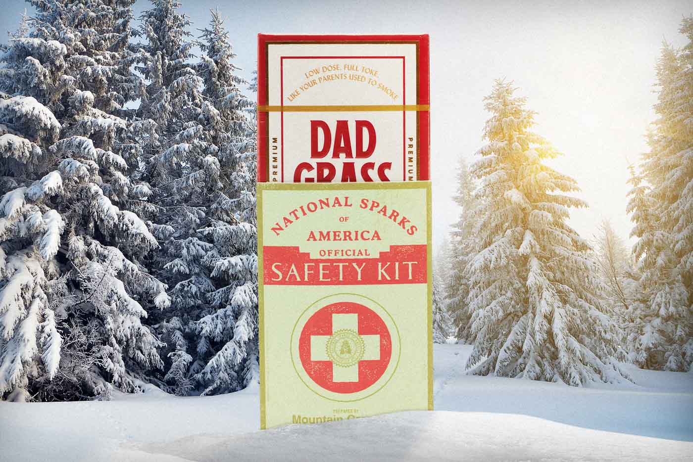 Dad Grass Mountain Grassette Safety Kit Dad Stash Best Price