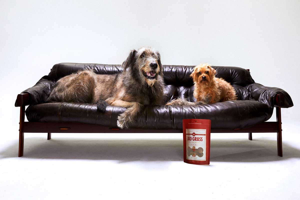 Dad Grass CBD Dog Bones Best Price
