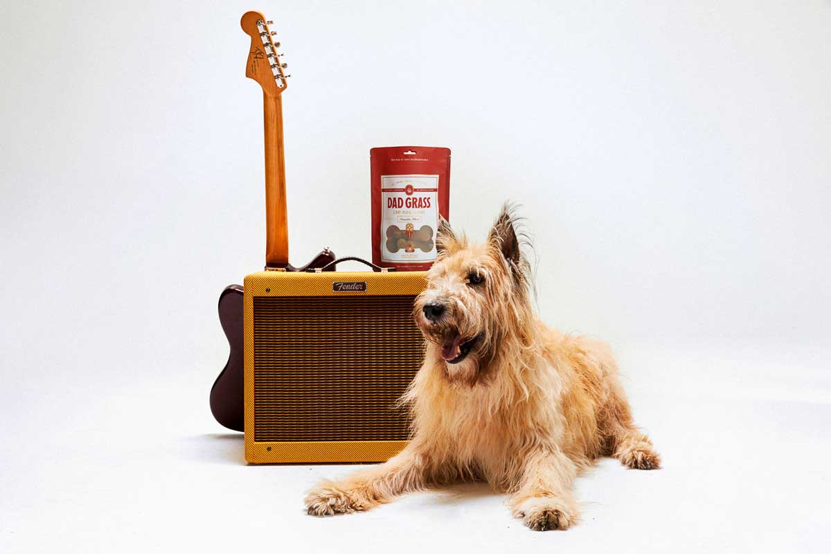 Dad Grass CBD Dog Bones Best Price