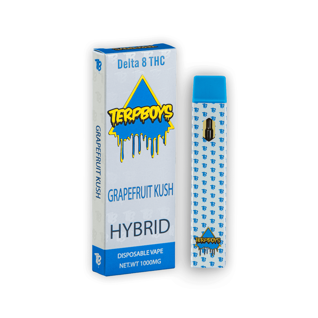 TerpBoys Hybrid Delta-8 THC Disposable Vapes 1000mg Best Price