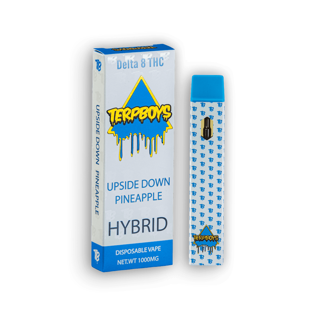 TerpBoys Hybrid Delta-8 THC Disposable Vapes 1000mg Best Price