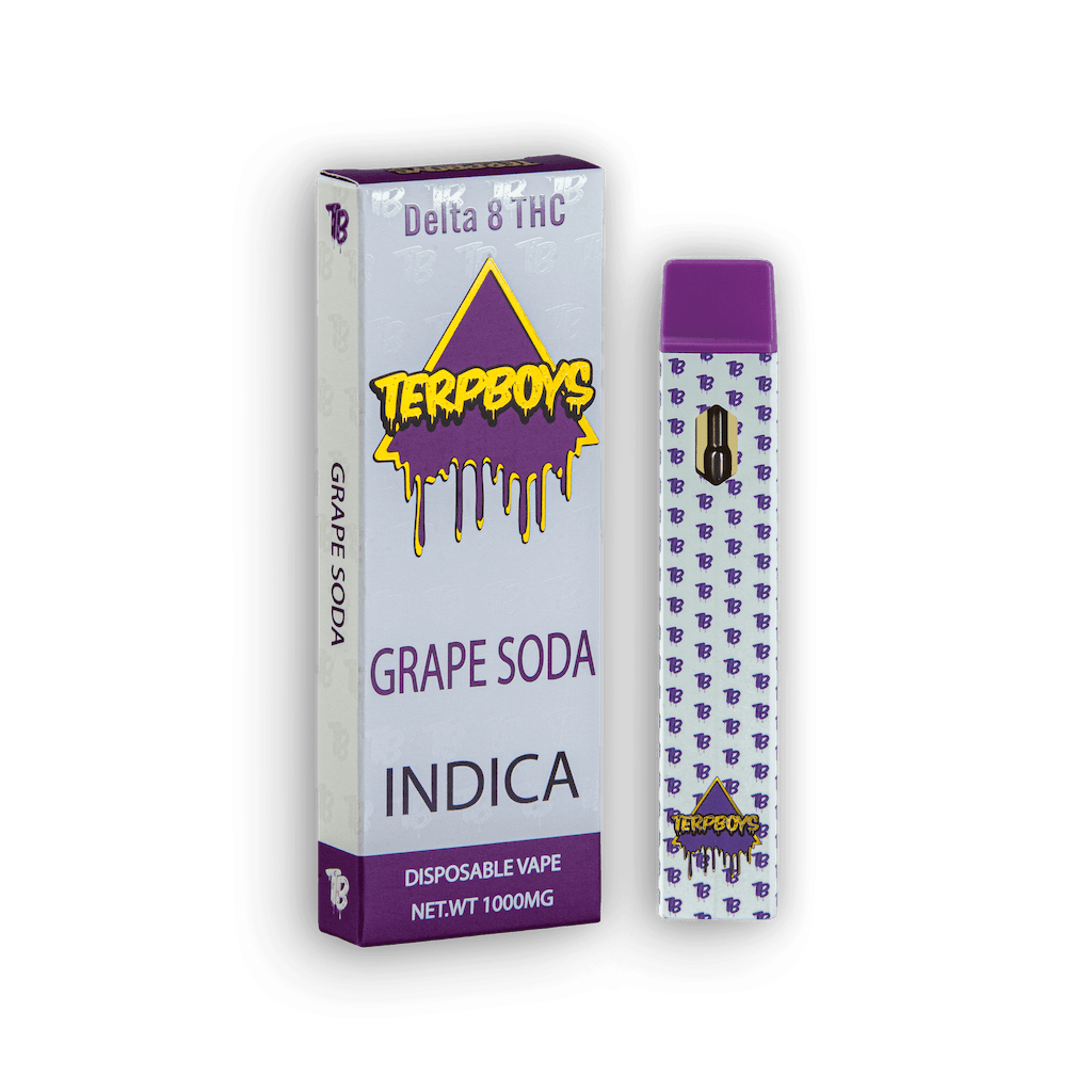 TerpBoys Indica Delta-8 THC Disposable Vapes 1000mg Best Price