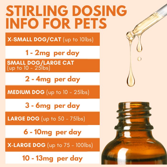 Stirling CBD - CBD Oil for Dogs (Large Breed Dogs) Best Price