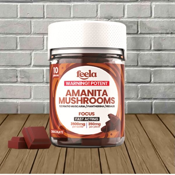 Feela Amanita Mushroom Chocolate FOCUS 1:2:1 Ratio Best Price