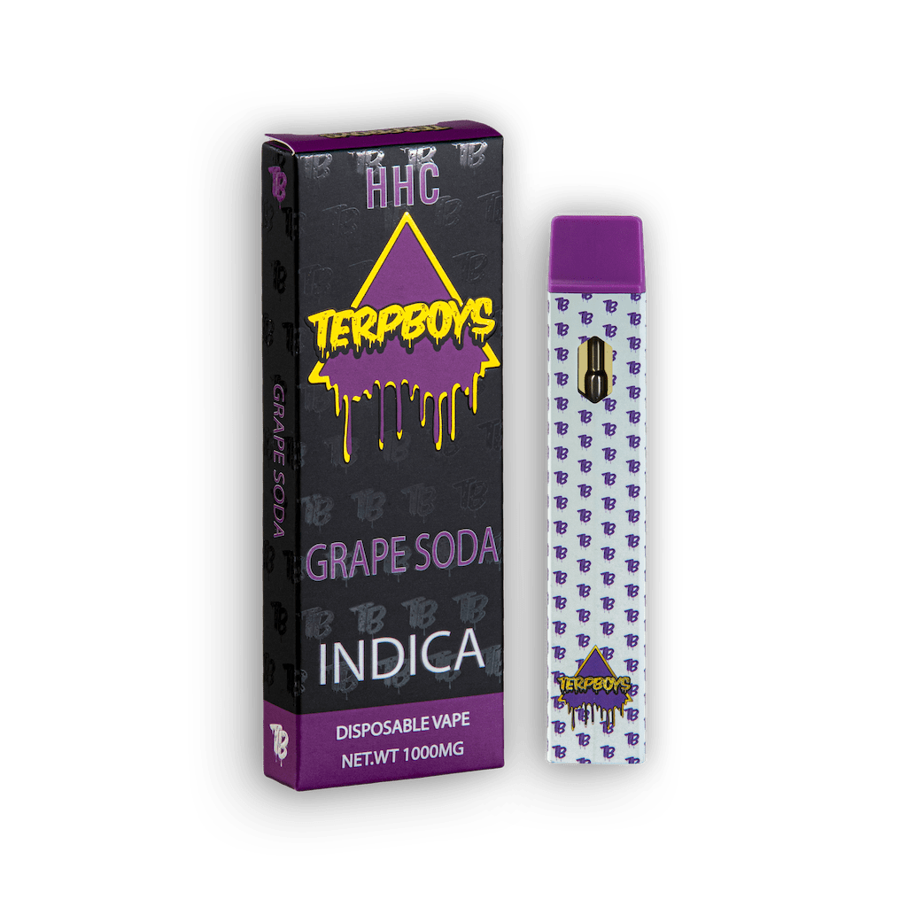 TerpBoys Indica HHC Disposable Vapes 1000mg Best Price