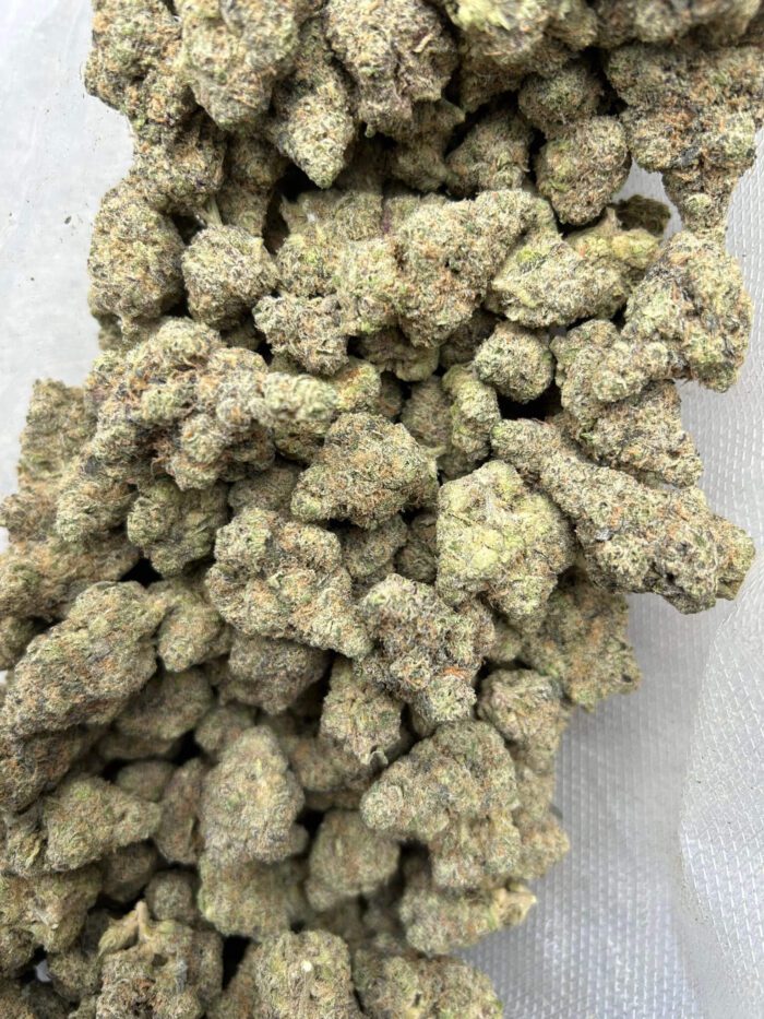Bloomz | Gold Line THC-A Flower 3.5g - 7g Best Price