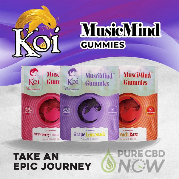 Koi MusciMind Gummies – 10 Gummies Per Bag Best Price