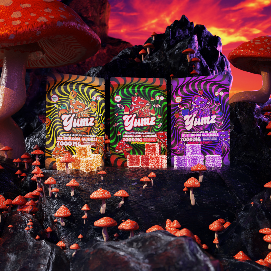 YUMZ - Amanita Muscaria Mushroom Gummies ( Bundle ) Best Price