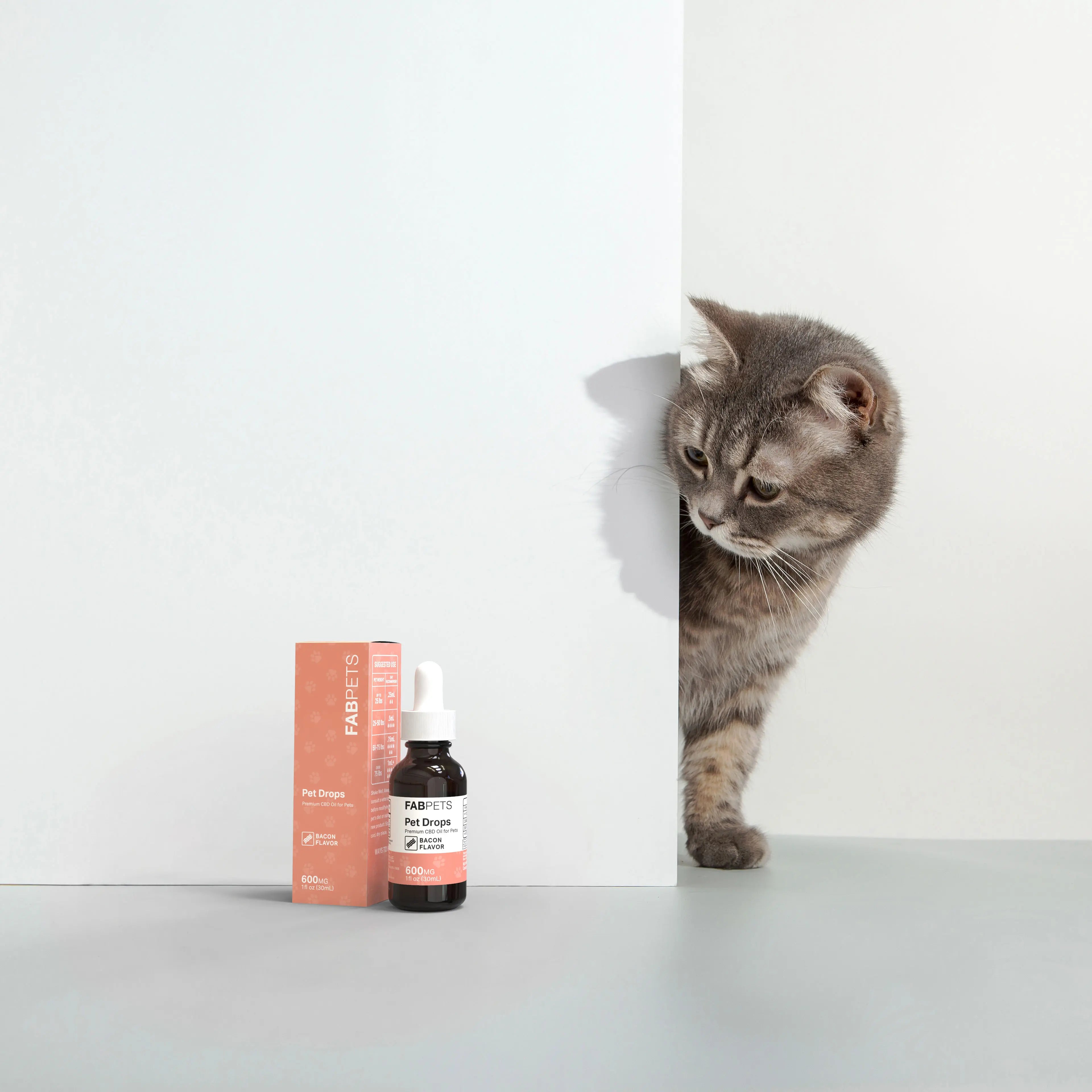 FAB CBD CBD Oil for Pets Bacon Flavor Best Price